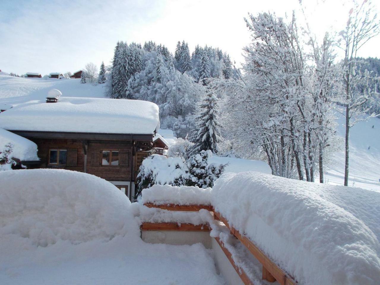 Chalet Jonquille Ле-Же Екстер'єр фото