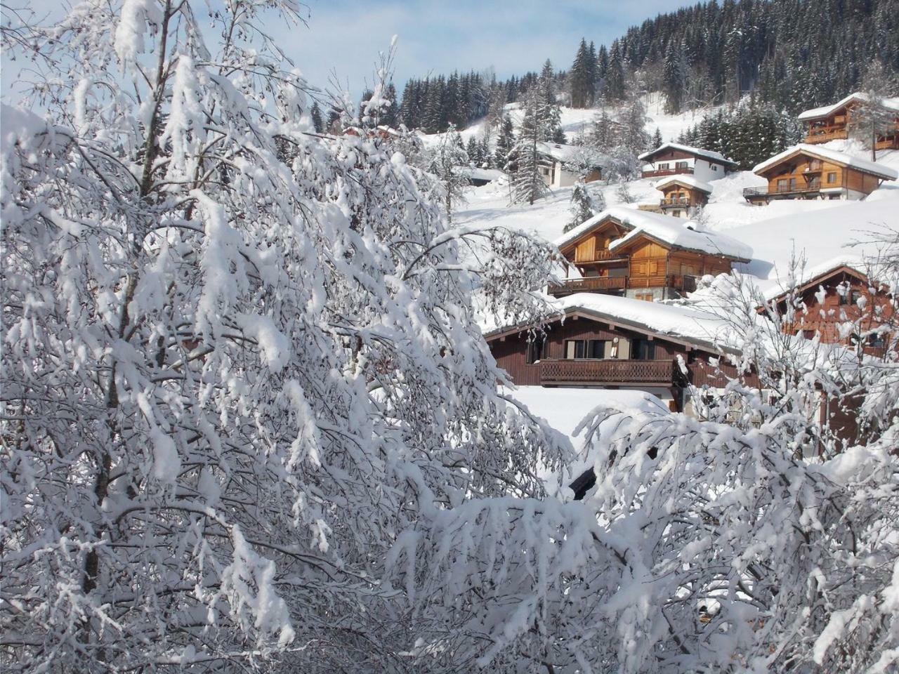 Chalet Jonquille Ле-Же Екстер'єр фото